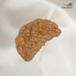 Original 1 Mukhi Rudraksha bead representing Lord Shiva