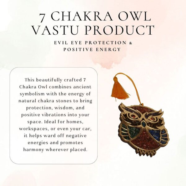 7 Chakra Owl Vastu Product